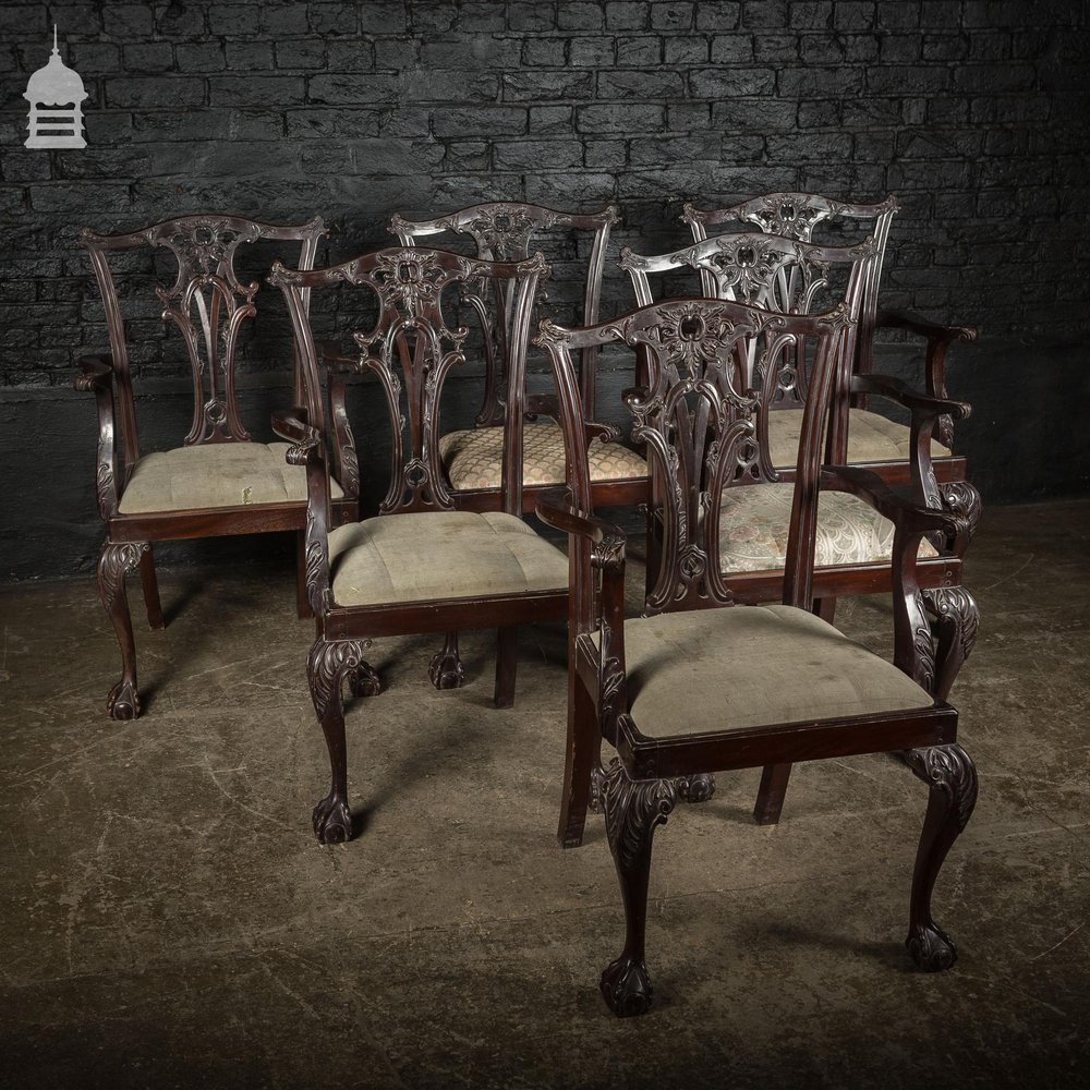 Set of Six Ornate Chippendale Revival Dining Chairs Armchairs Circa 1900