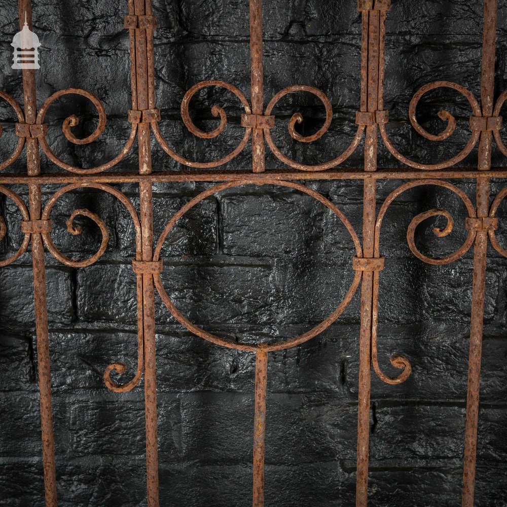 Section of 19th C Wrought Iron Railing with Scroll Design