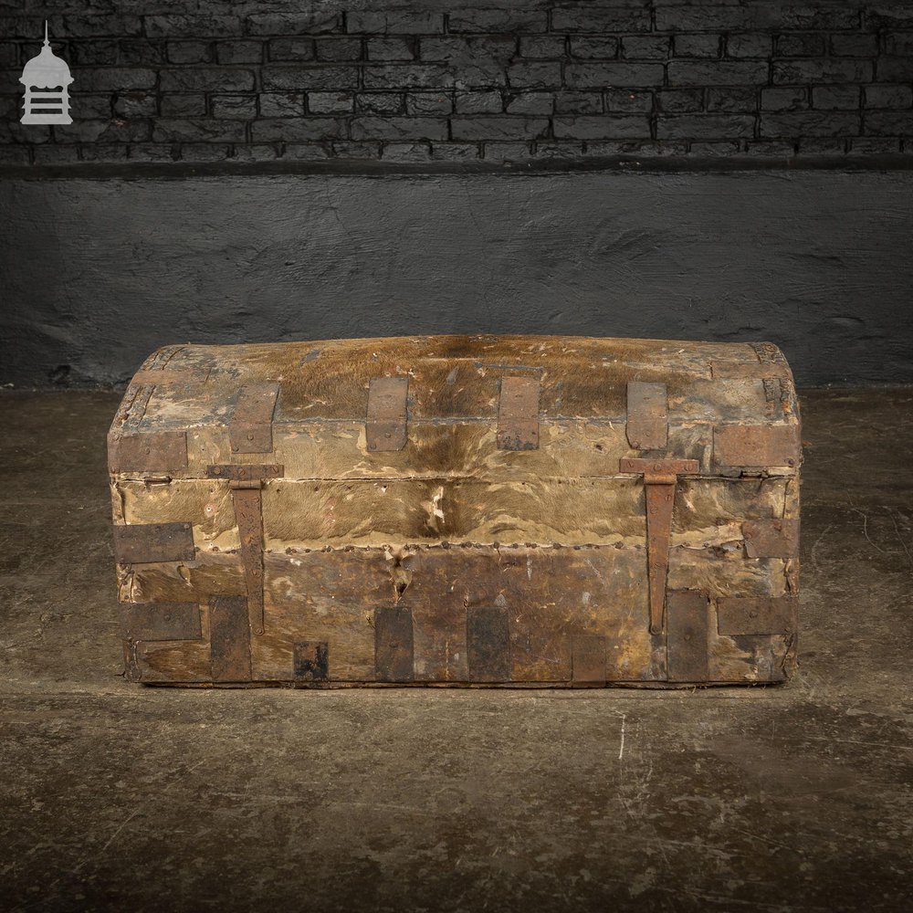 19th C Wooden Trunk covered in Hide with Metal Strapping, Studs and E.V Monogram on Lid