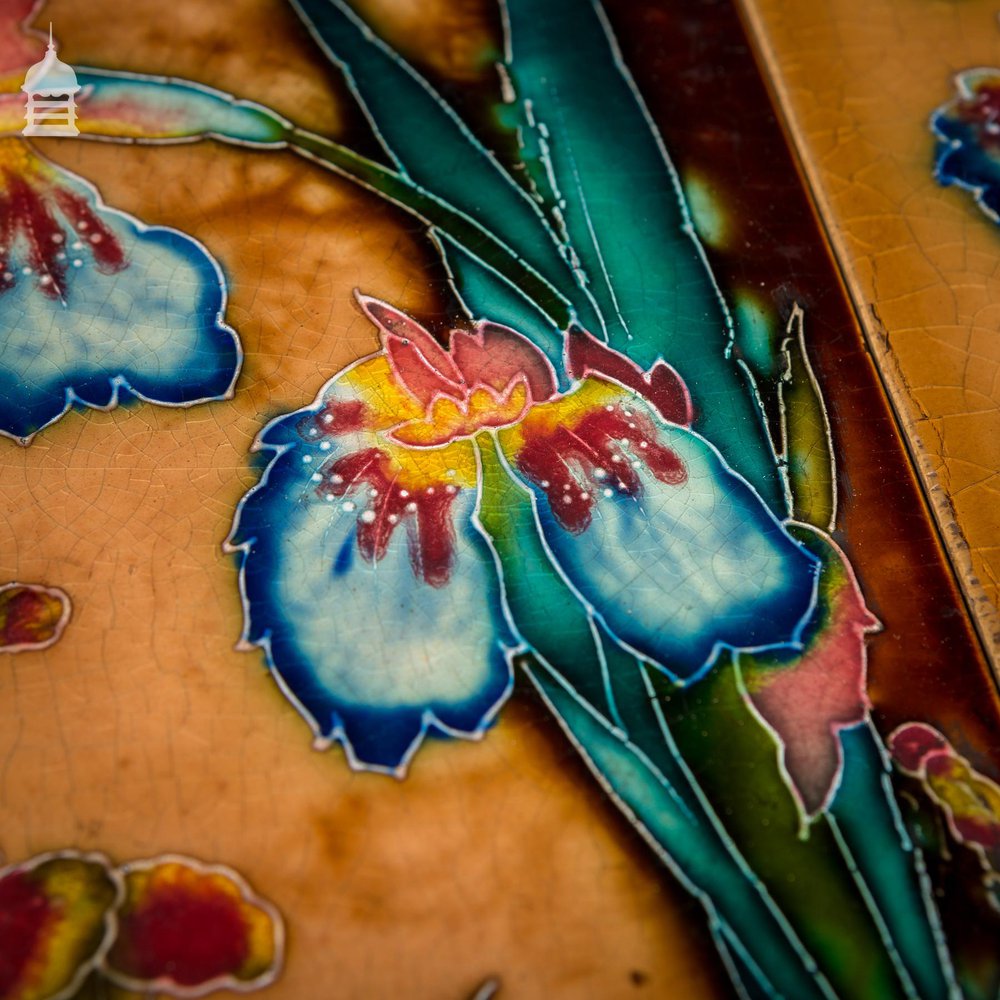 Pair of Floral Tube Lined 12x6 Tiles with Colourful Iris Design