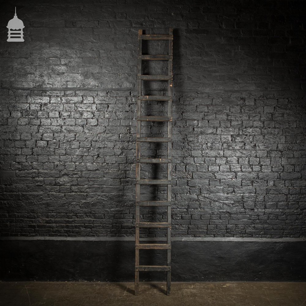 Reclaimed Industrial Black Painted Workshop Ladder