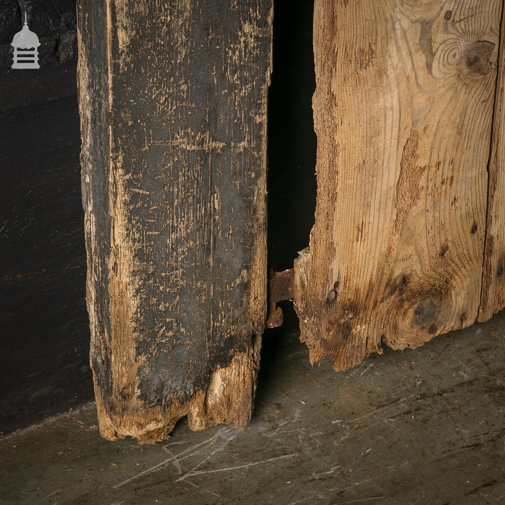 Wide Pine Plank Ledged Barn Door with Original Post