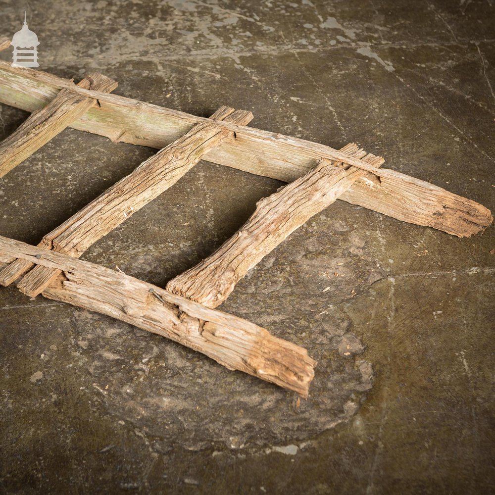 An Early Example of A Rustic Bygone Primitive Oak Barn Ladder (Display Piece)