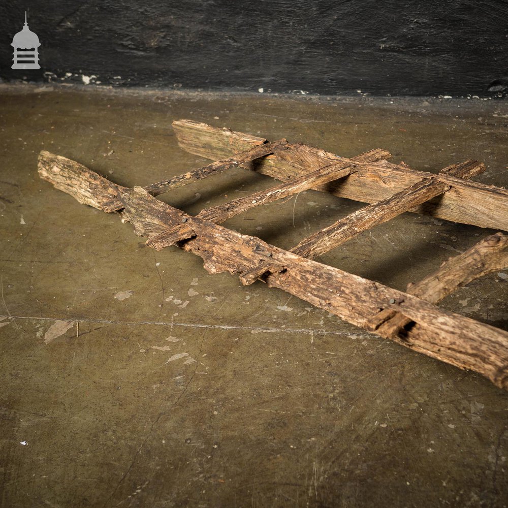 An Early Example of A Rustic Bygone Primitive Oak Barn Ladder (Display Piece)