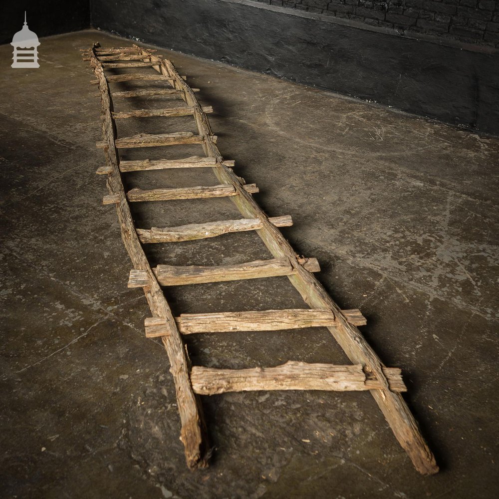 An Early Example of A Rustic Bygone Primitive Oak Barn Ladder (Display Piece)