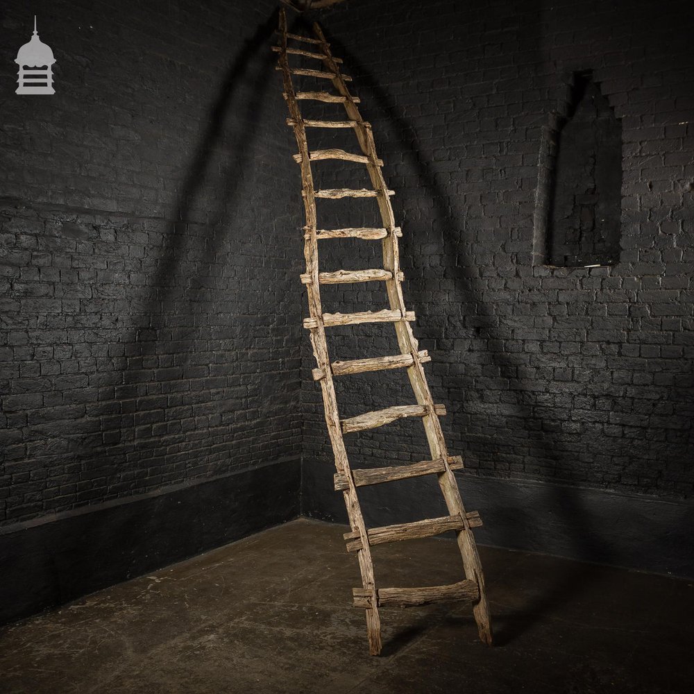 An Early Example of A Rustic Bygone Primitive Oak Barn Ladder (Display Piece)