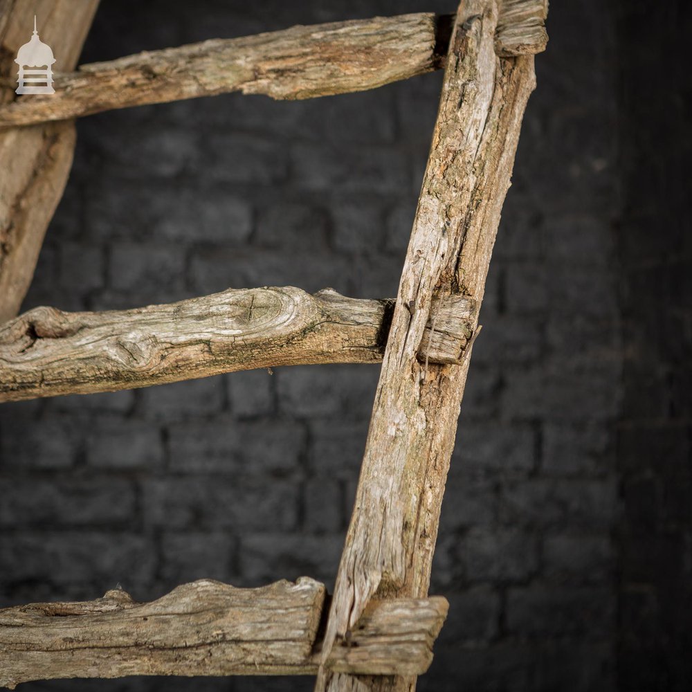 An Early Example of A Rustic Bygone Primitive Oak Barn Ladder (Display Piece)