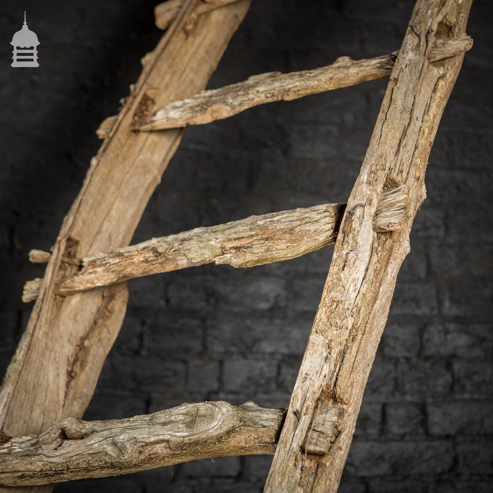 An Early Example of A Rustic Bygone Primitive Oak Barn Ladder (Display Piece)