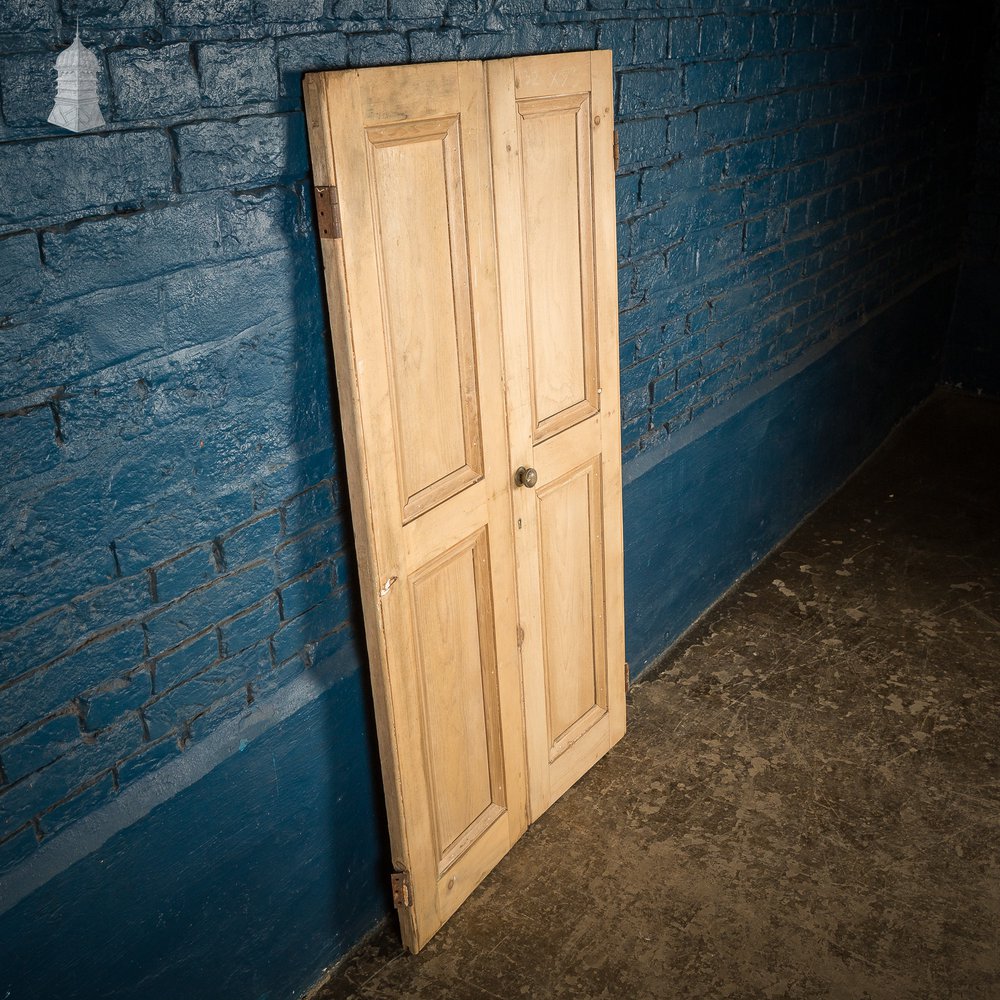 Pair of Small 19th C Paneled Cupboard Doors