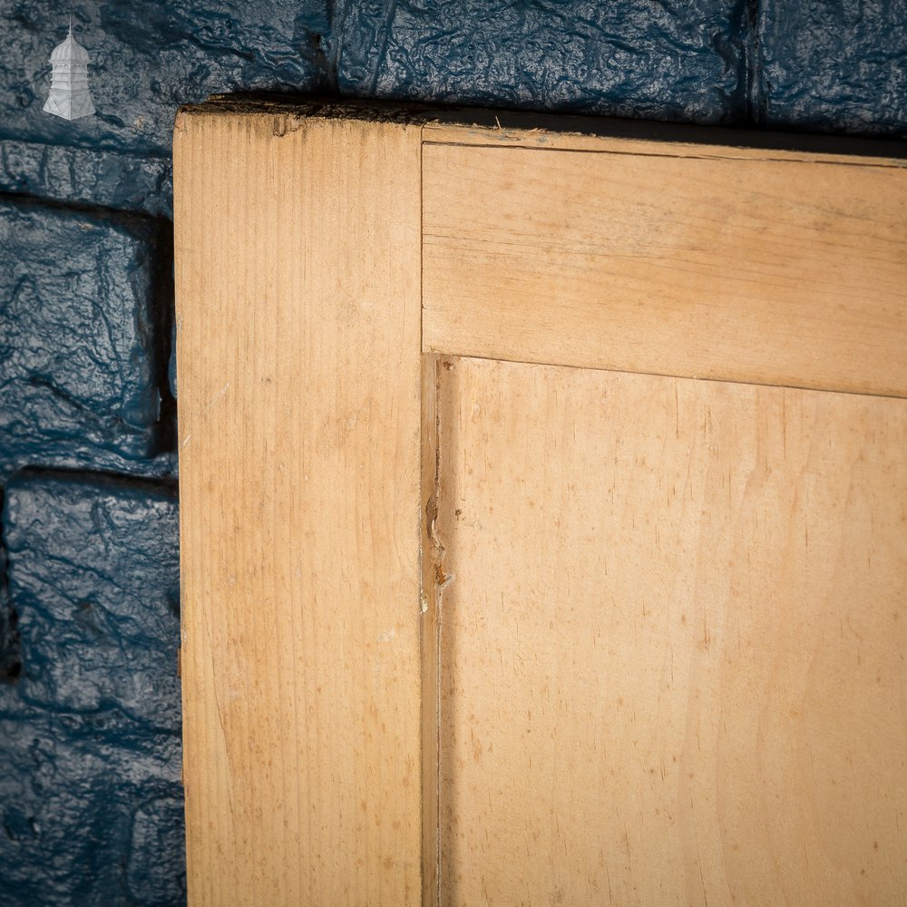 Pair of Small 19th C Paneled Cupboard Doors