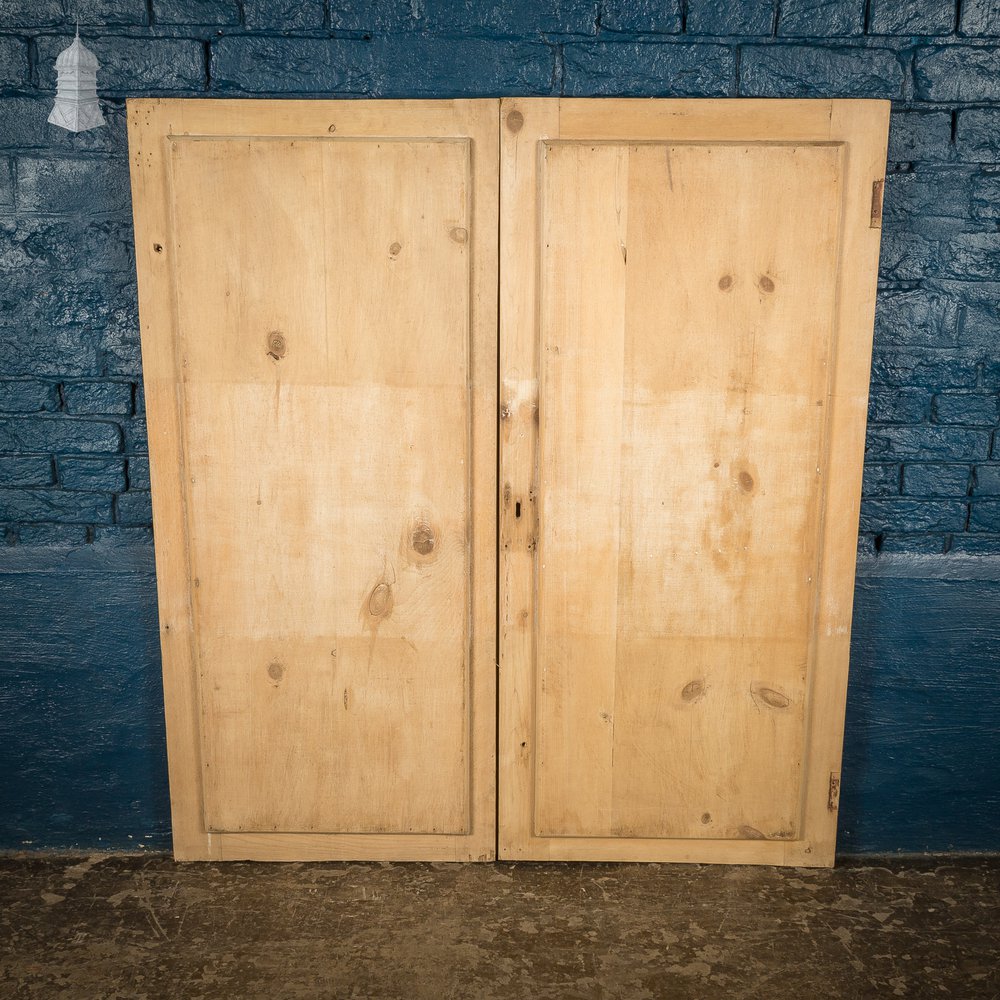 Small Victorian Pine Cupboard Door and Frame