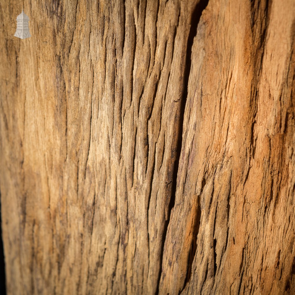 Large Batch of Worn Rustic Hardwood Pilings