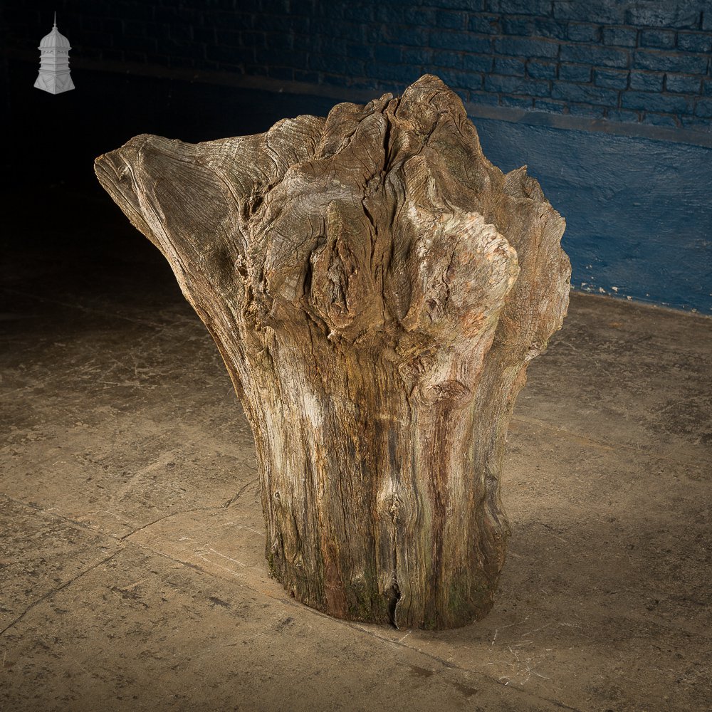 Ancient Sculptural Tree Stump Root Ball [No. 1]