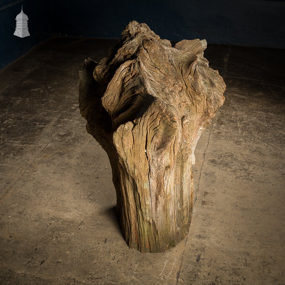 Ancient Sculptural Tree Stump Root Ball [No. 1]