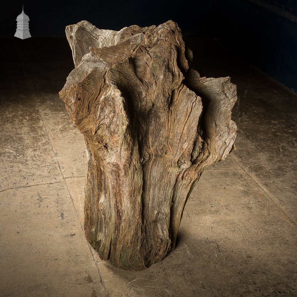 Ancient Sculptural Tree Stump Root Ball [No. 1]