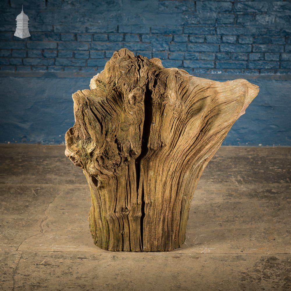 Ancient Sculptural Tree Stump Root Ball [No. 1]