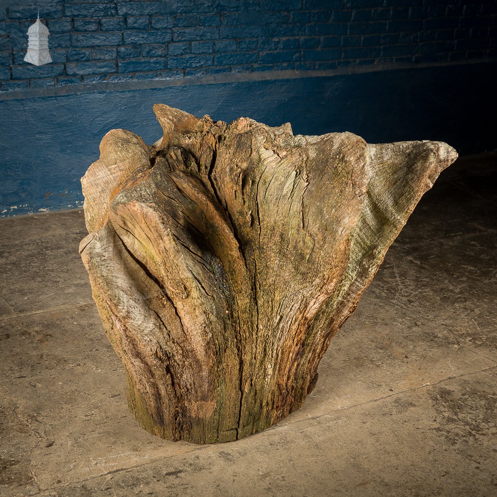 Ancient Sculptural Tree Stump Root Ball [No. 2]