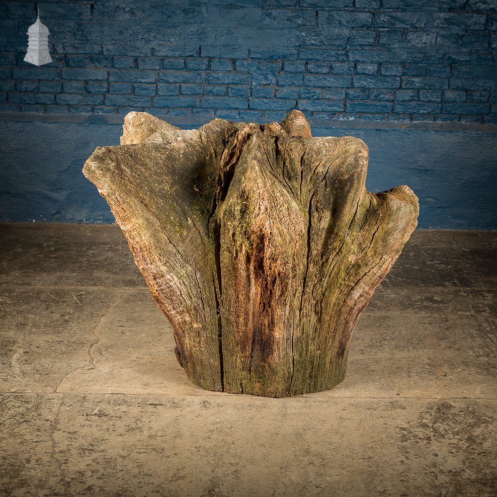 Ancient Sculptural Tree Stump Root Ball [No. 2]