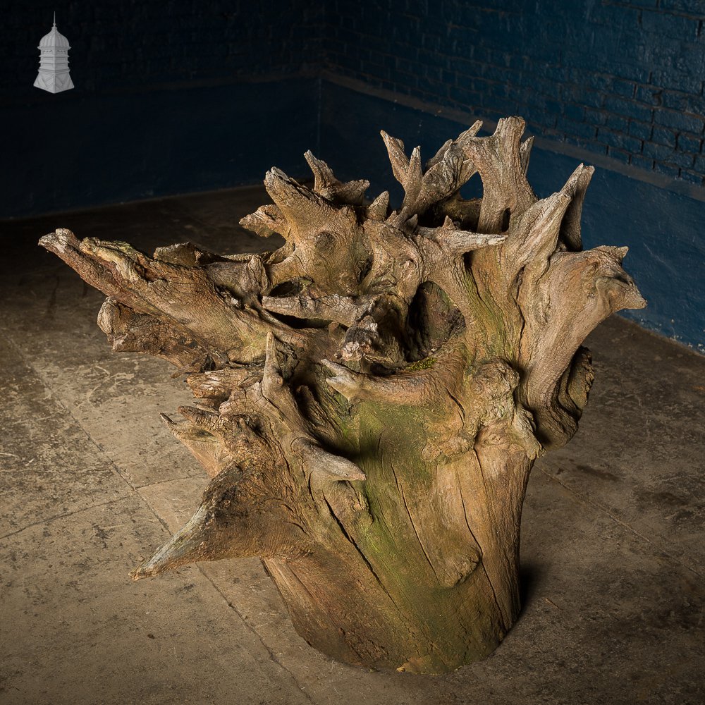 Ancient Sculptural Tree Stump Root Ball [No. 3]