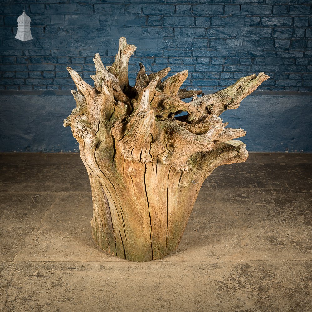 Ancient Sculptural Tree Stump Root Ball [No. 3]