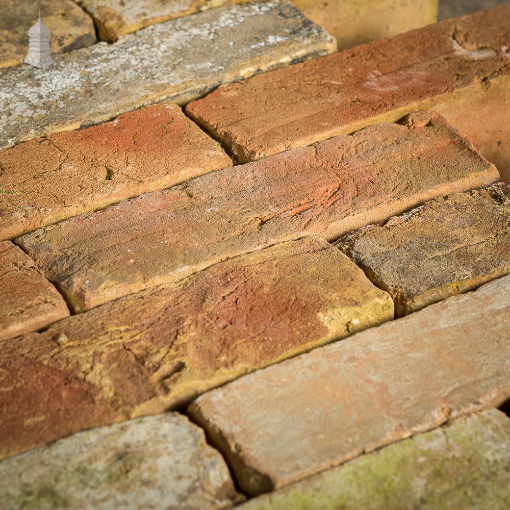 Batch of 226 2.5 Inch Reclaimed Buff Bricks