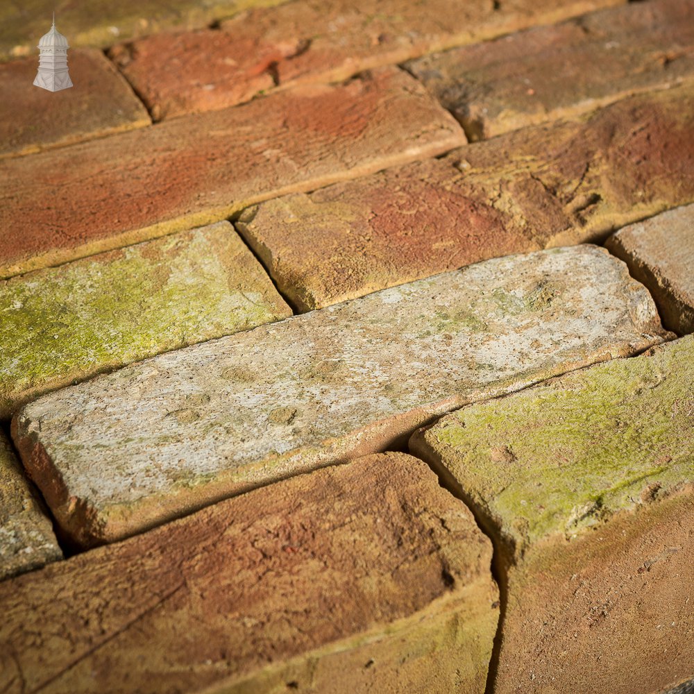 Batch of 226 2.5 Inch Reclaimed Buff Bricks