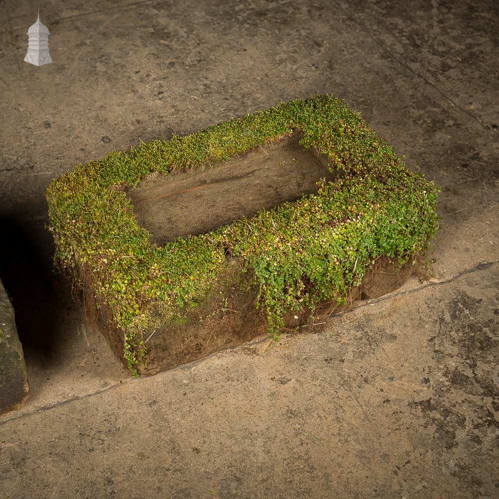 Pair of Small Weathered Shallow Stone Troughs