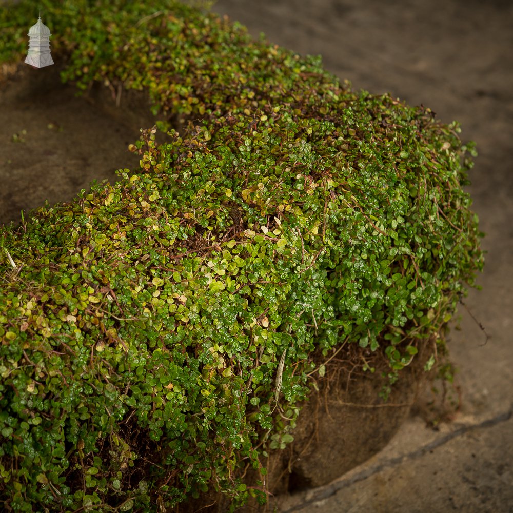 Pair of Small Weathered Shallow Stone Troughs