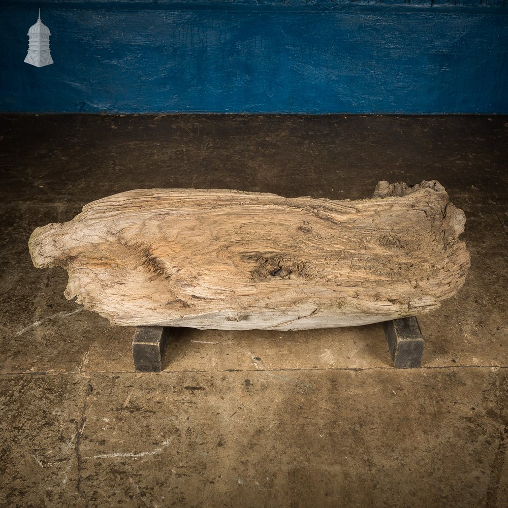 Weathered Piece of Silvered Log Timber with Large Character Burr