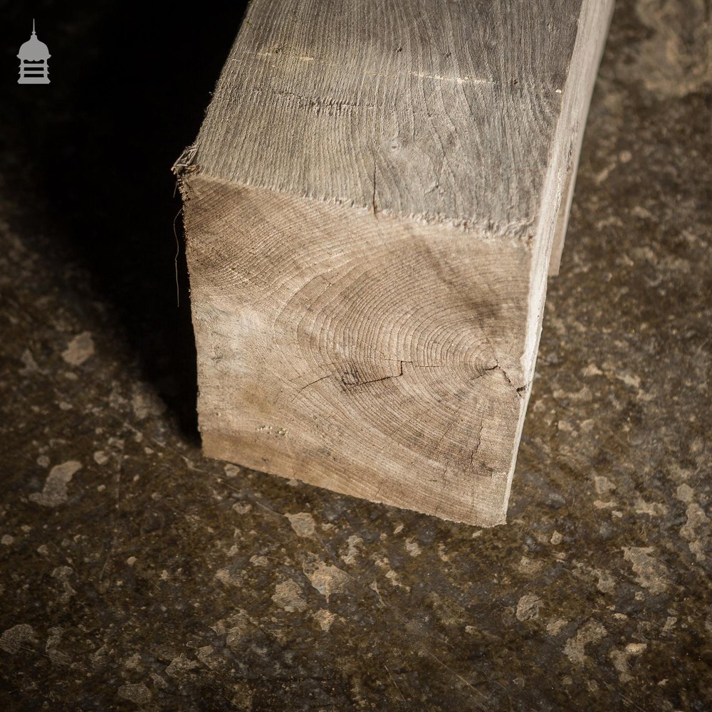 NR22121: 18th C Elm Beam Cut in Half