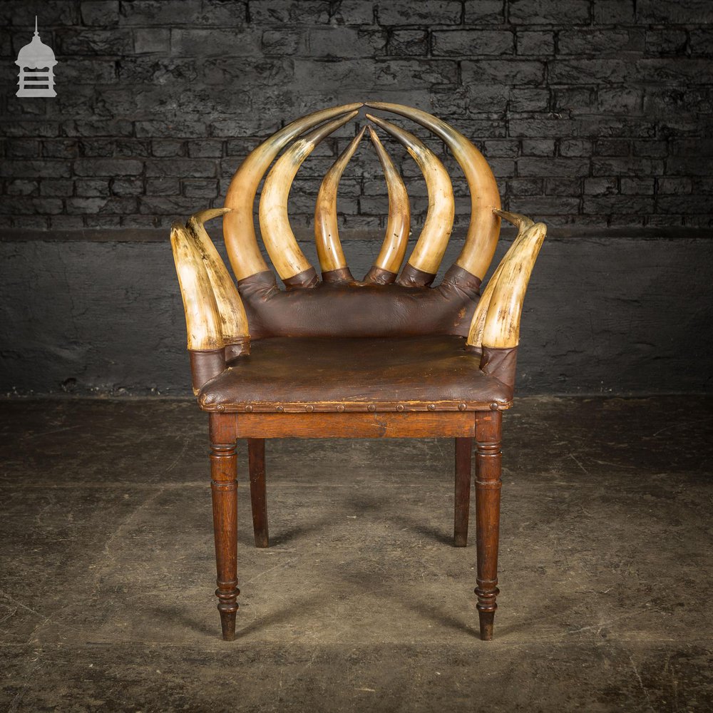 19th C Longhorn Steer Throne Chair with Turned Oak Legs