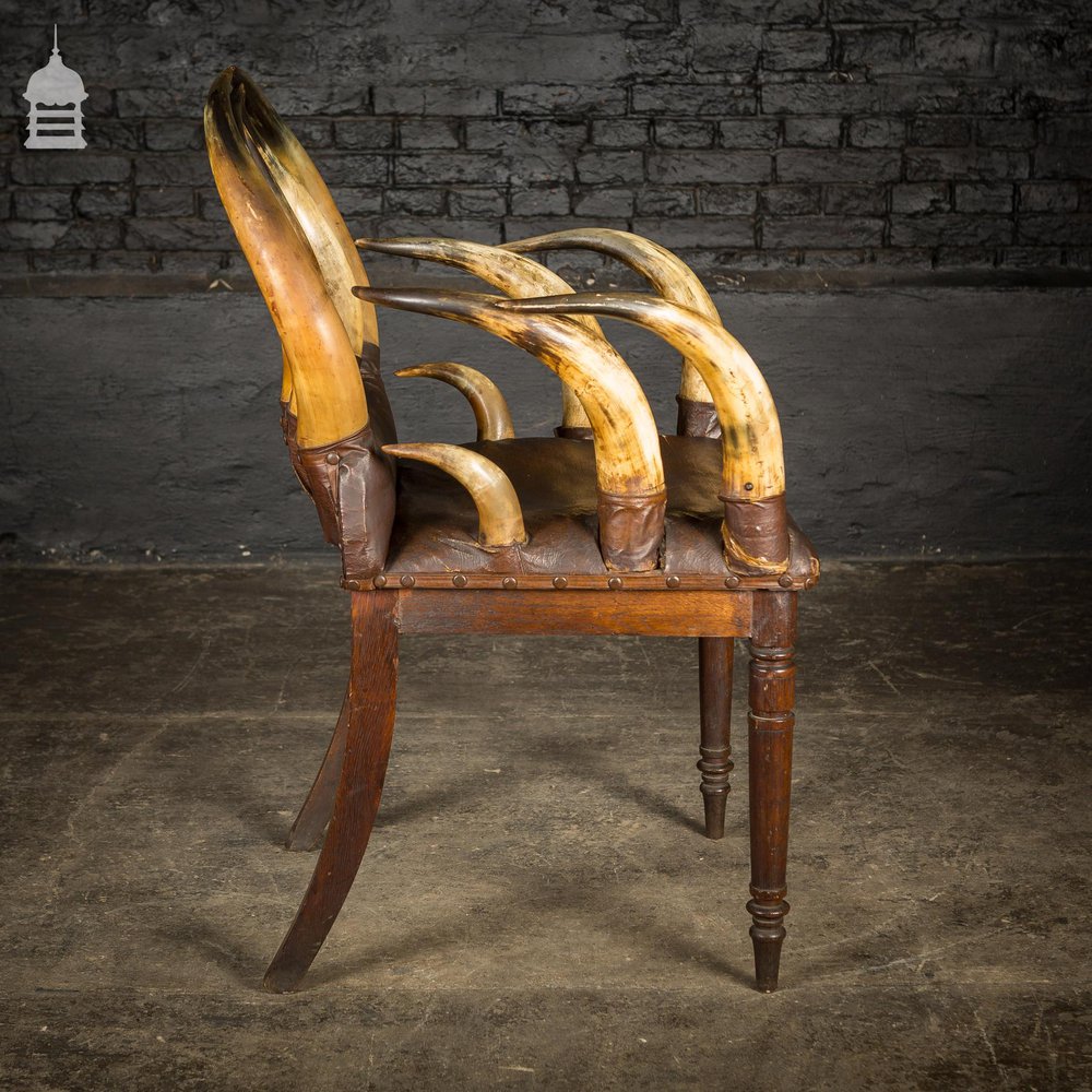 19th C Longhorn Steer Throne Chair with Turned Oak Legs