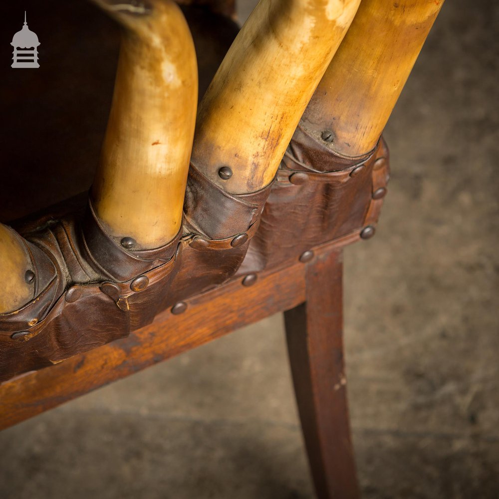 19th C Longhorn Steer Throne Chair with Turned Oak Legs