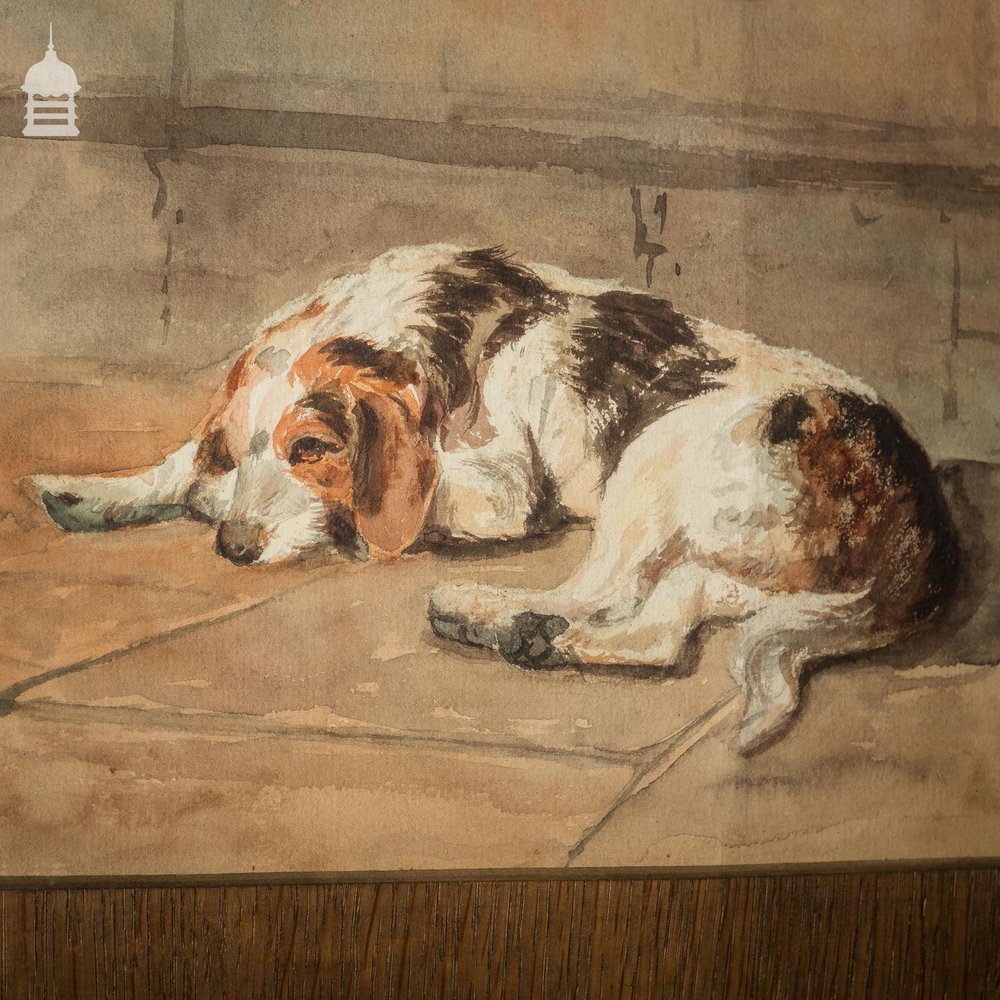 Edwardian Watercolour of a Spaniel in Oak Frame