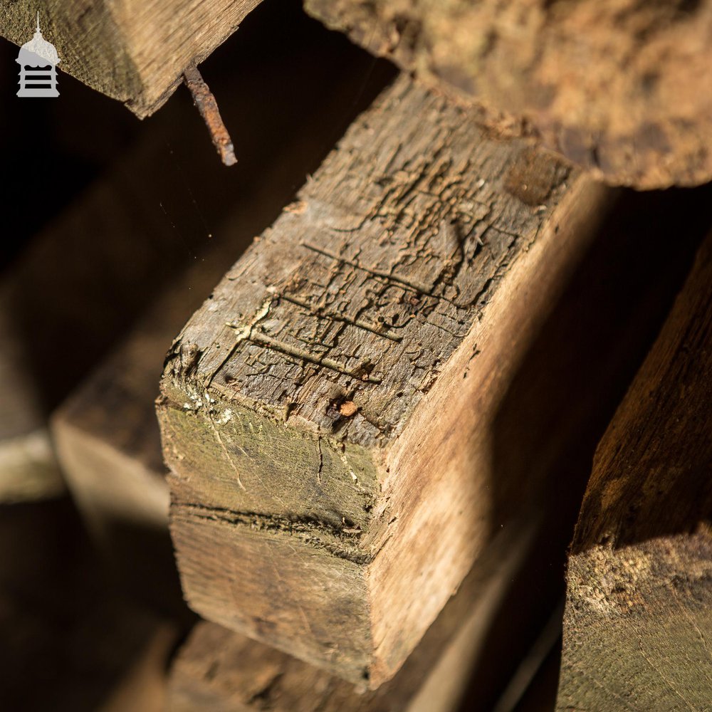 NR44121: Batch of Original 17th C Oak Ceiling Joists