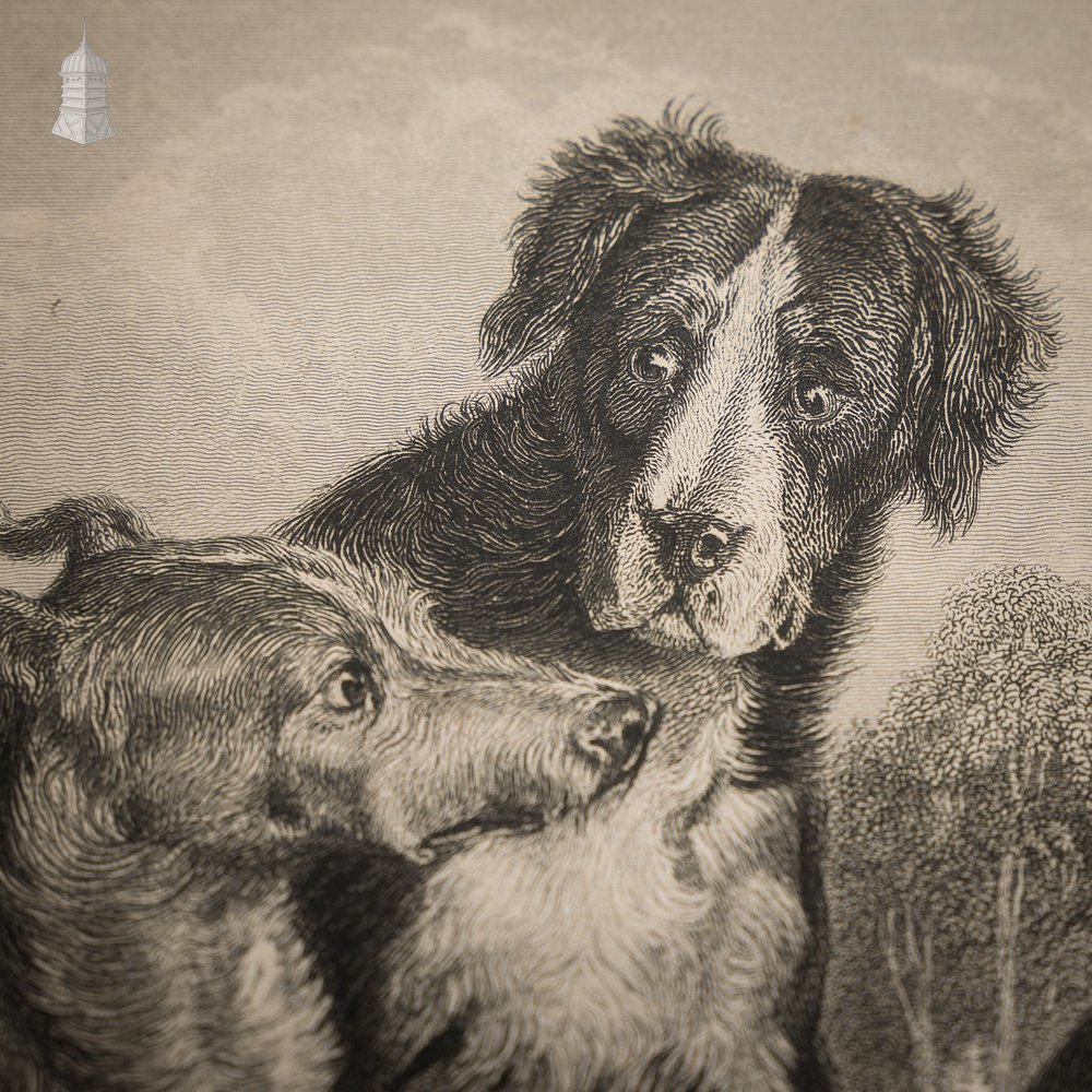 ‘The Braggart’ Original 19th C Richard Parr Engraving after Edwin Landseer Published 1833