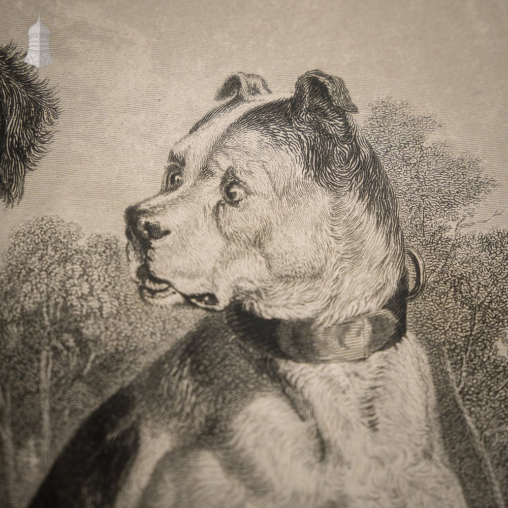 ‘The Braggart’ Original 19th C Richard Parr Engraving after Edwin Landseer Published 1833