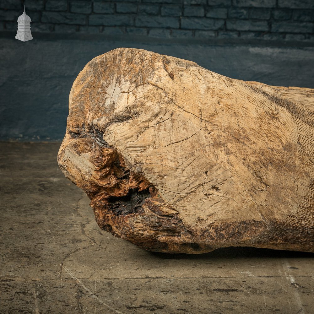 Ancient Oak Trough, Hand Carved, Believed to be English, Salvaged from a North Norfolk Pub