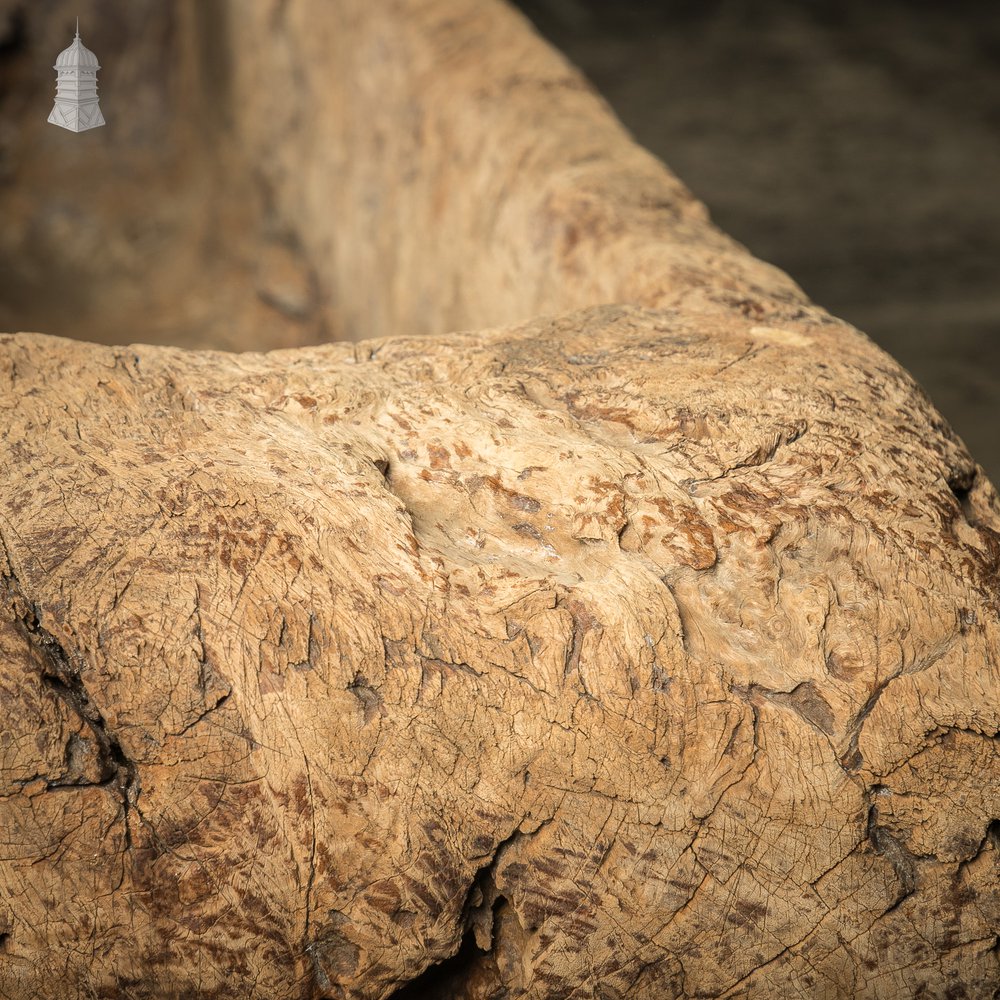 Ancient Oak Trough, Hand Carved Salvaged from North Norfolk