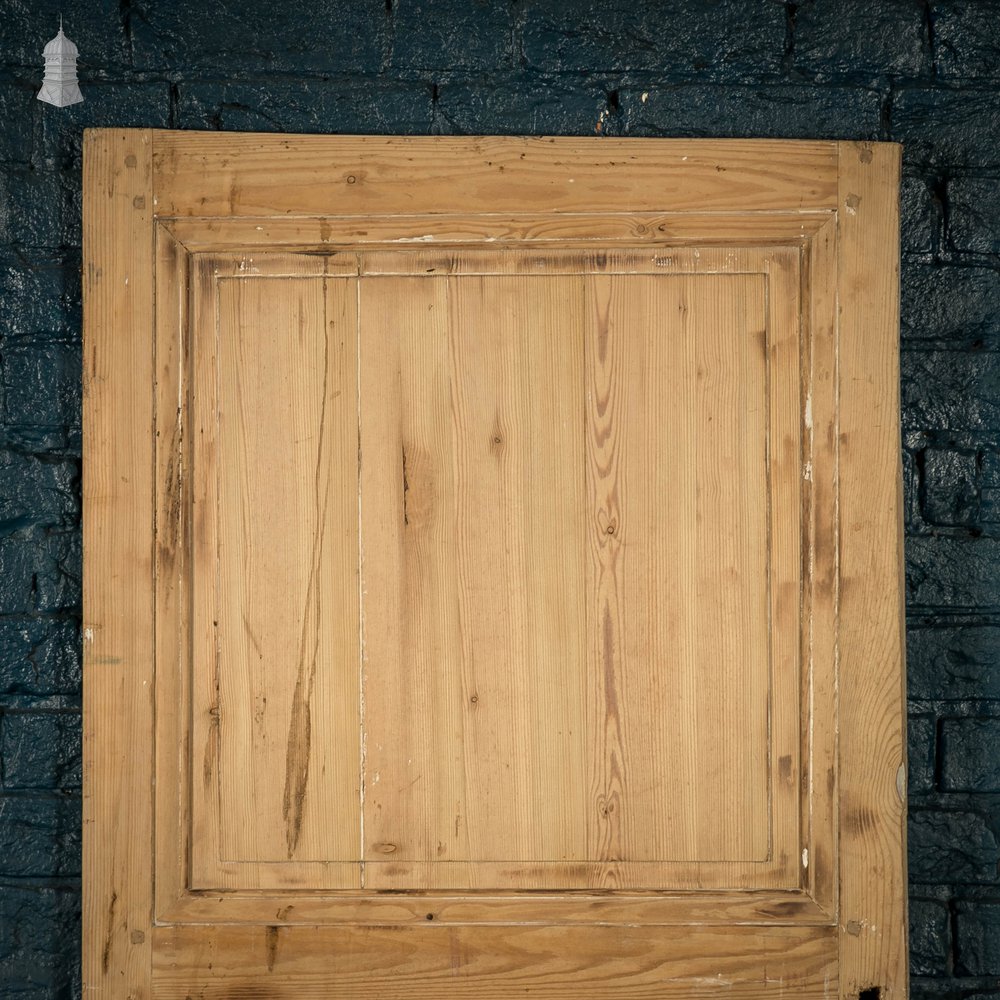 Pine Paneled Door, Moulded 2 Panel