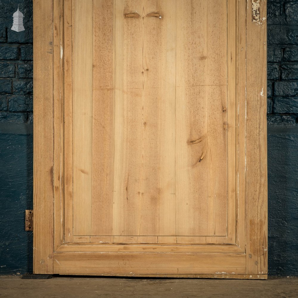 Pine Paneled Door, Moulded 2 Panel