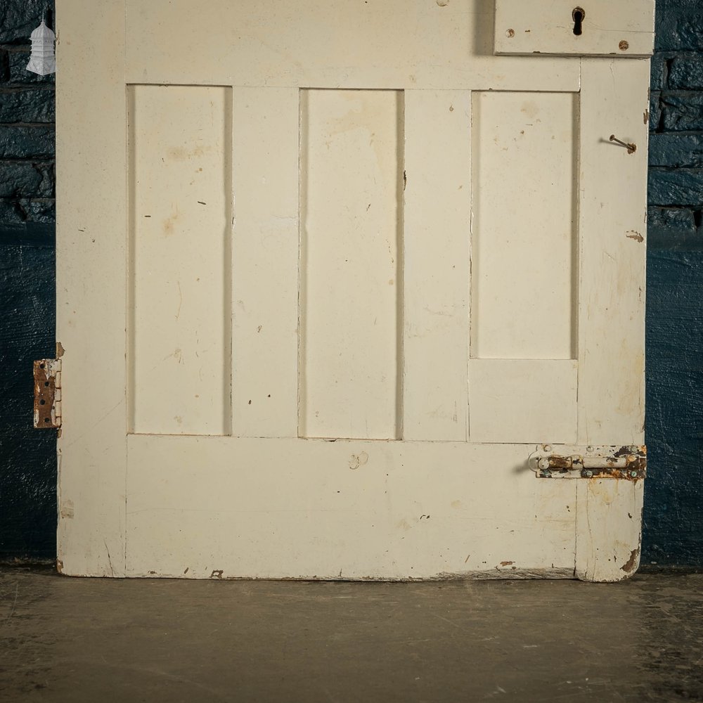 Pine Panelled Door, White Painted