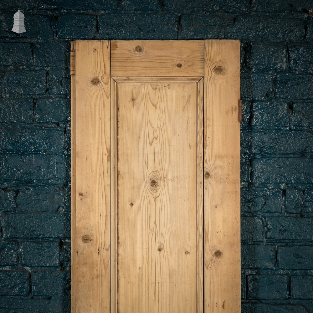 Pine Paneled Door, 2 moulded panel