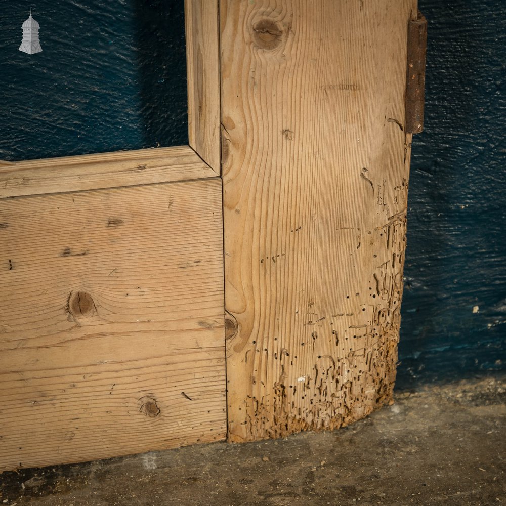 Pine Paneled Door, 2 moulded panel