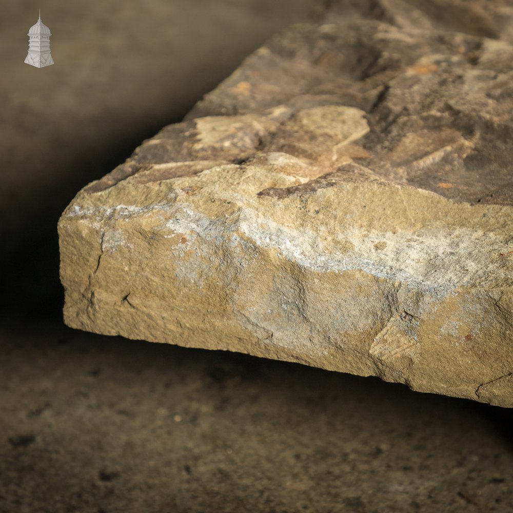 Riven Flagstone with a Weathered Face and Cut Back