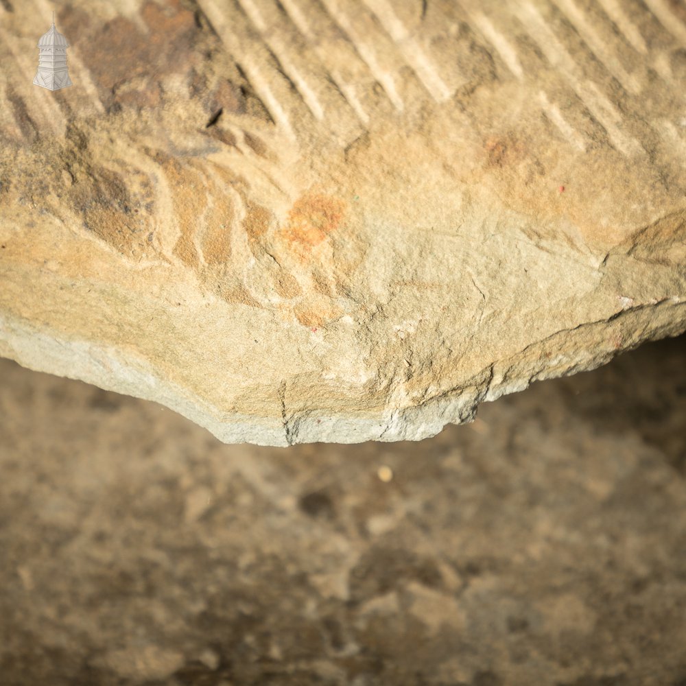 Large Riven Flagstone with Machined Face