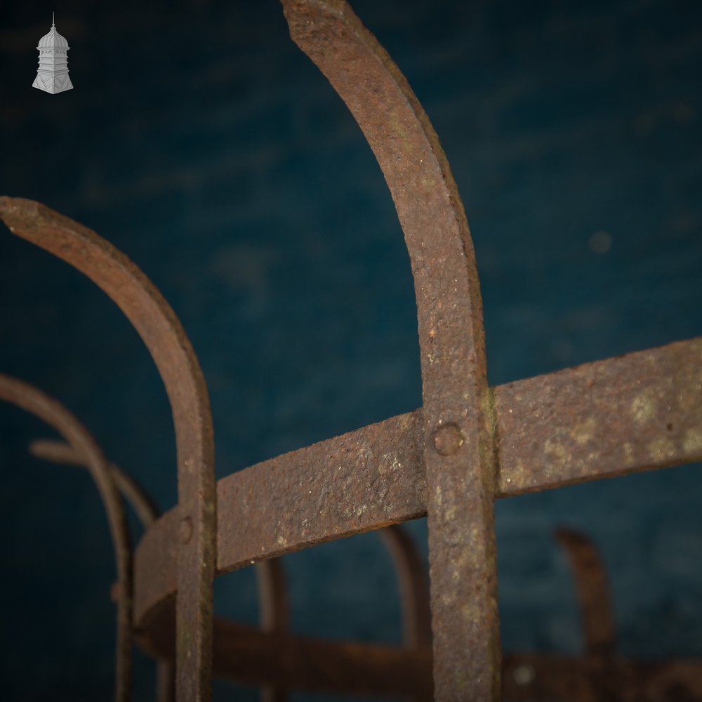 Tree Guard, Wrought Iron