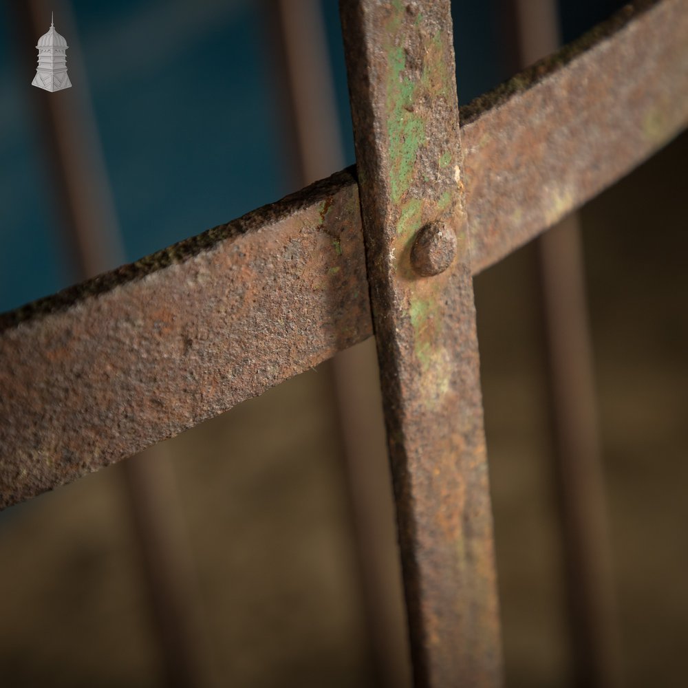 Tree Guard, Wrought Iron