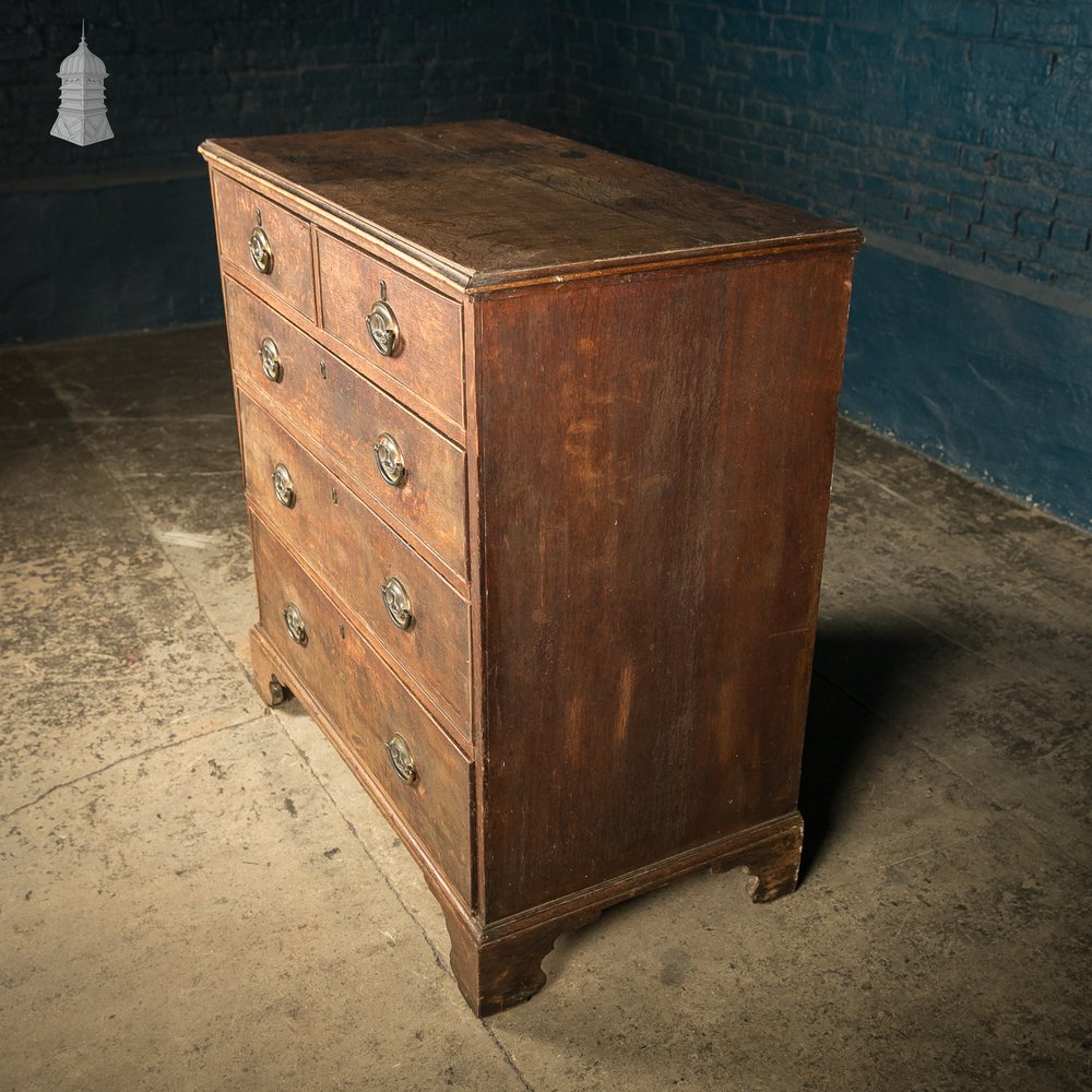 Chest of Drawers, George III, Oak 2 over 3 Drawer with Brass Sphinx Pull Handles