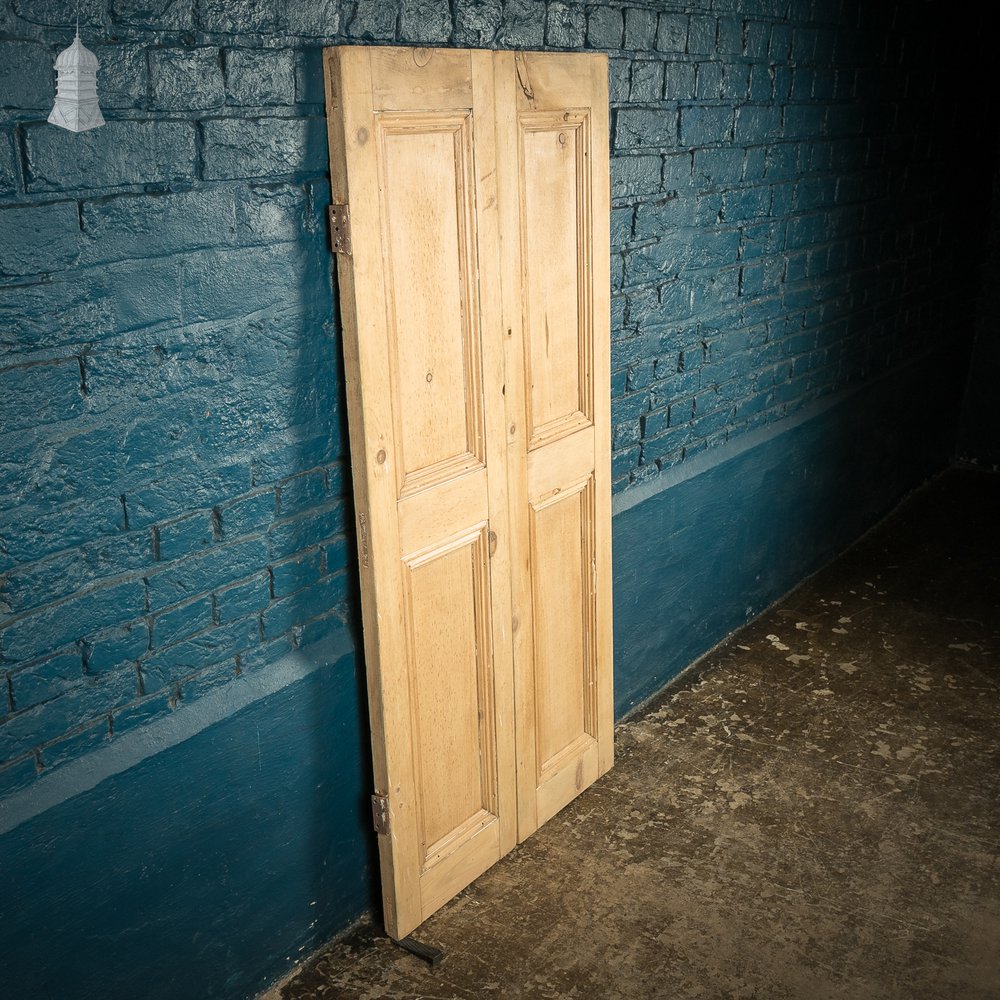 Pair of Small 19th C Stripped Pine Moulded Panel Cupboard Doors